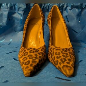 Stuart Weitzman Leopard Print Pointed-Toe Pumps - Brown & Black